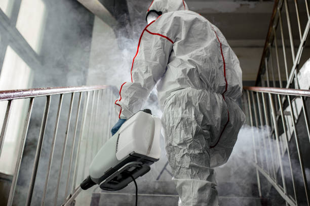 Mold Odor Removal Services in New Baltimore, VA